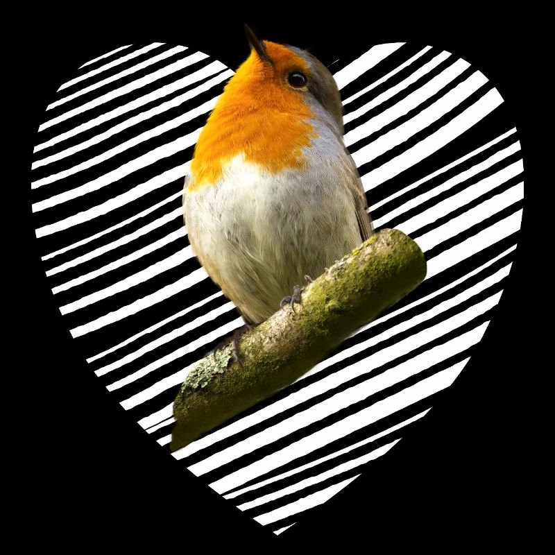 Rotkehlchen Singvogel