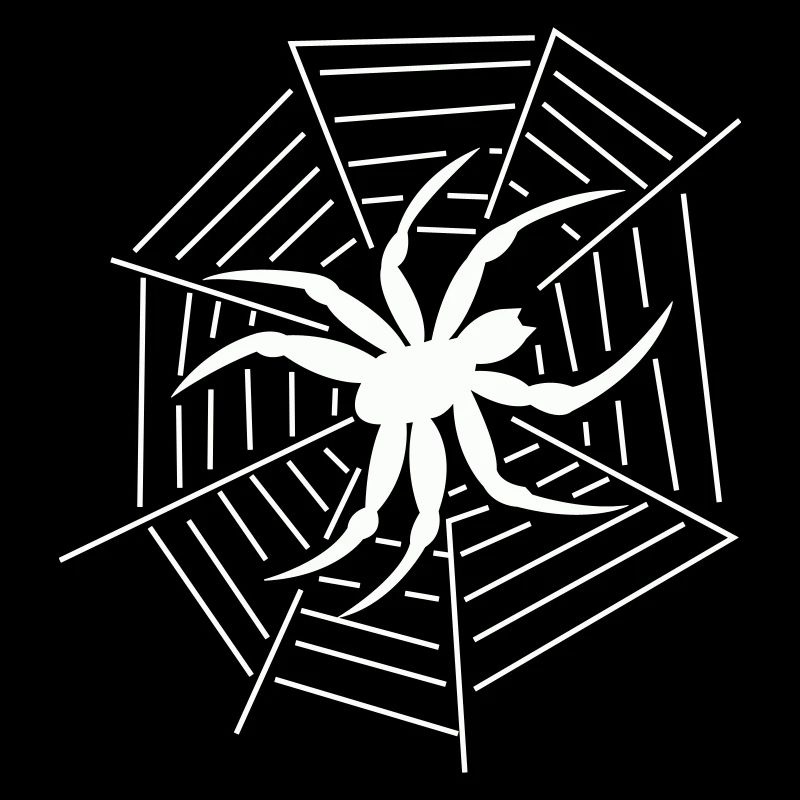 Spinne Spider