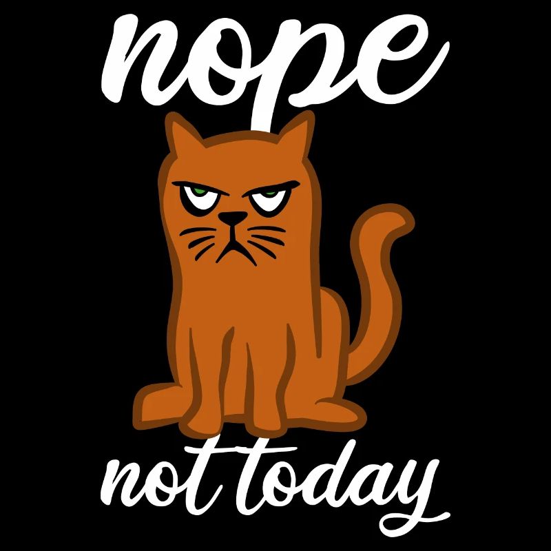 Nope Not Today - Cat - Bad Mood
