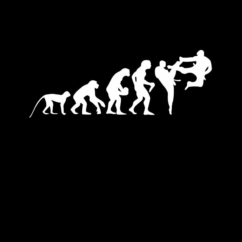 TAEKWONDO EVOLUTION