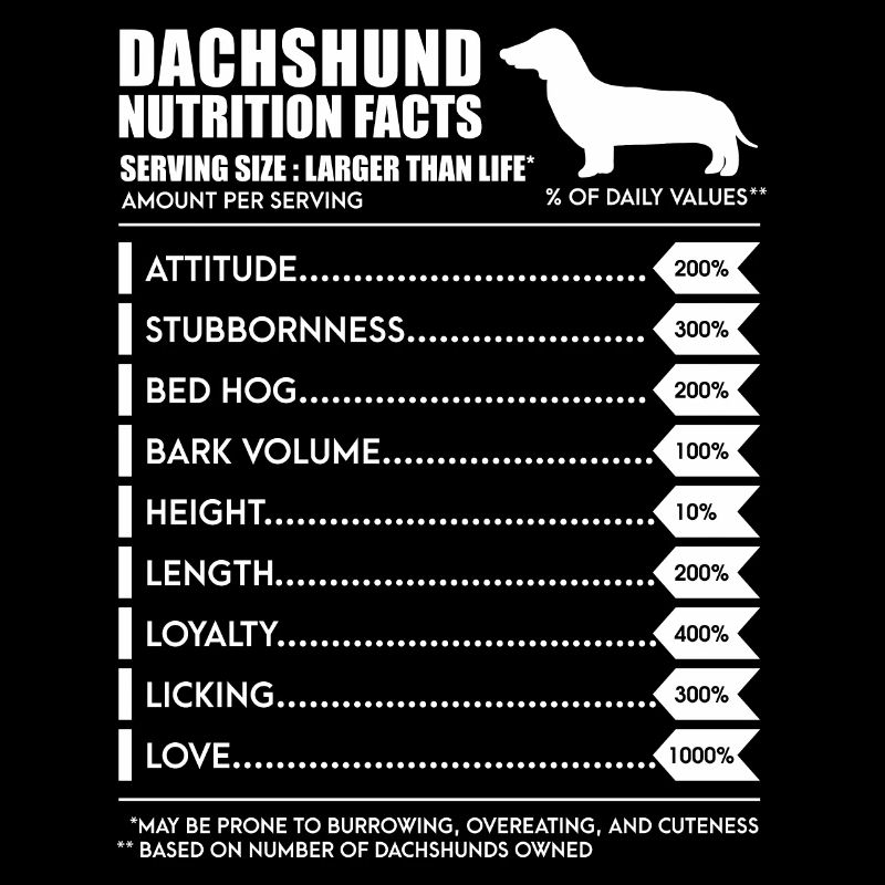 Teckel Valeur nutritive