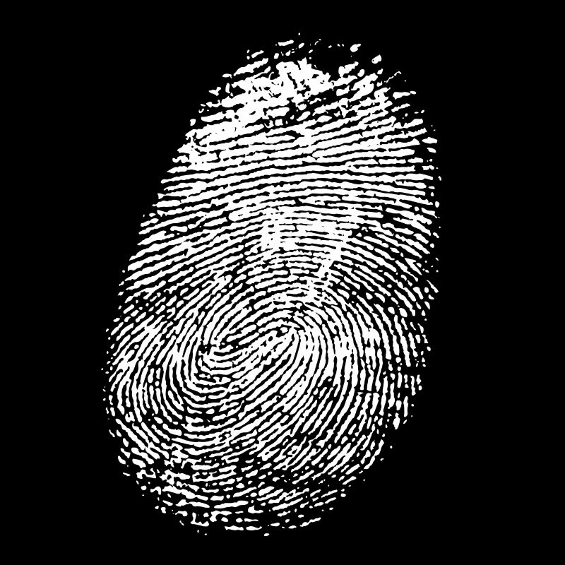 realistic fingerprint in white