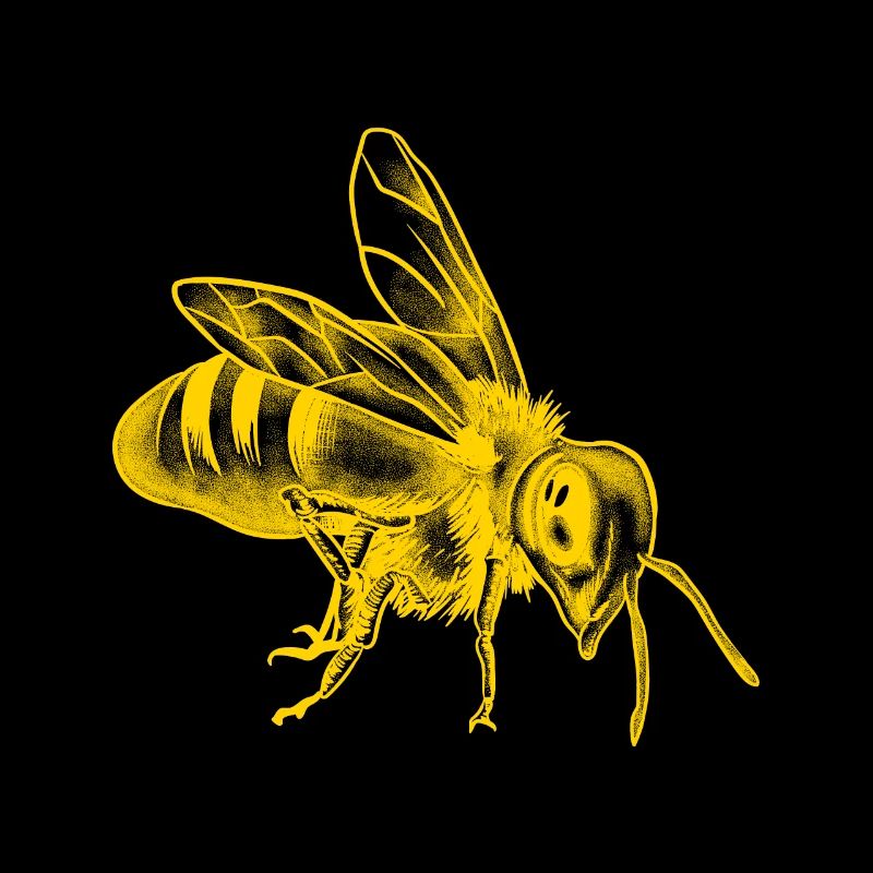 Honey Bee