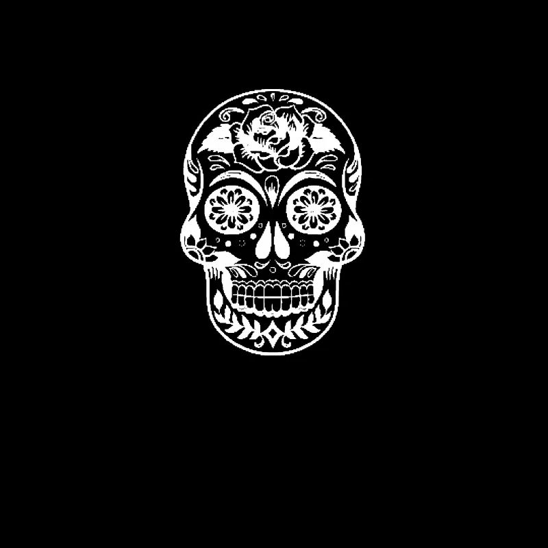 Mexican skull