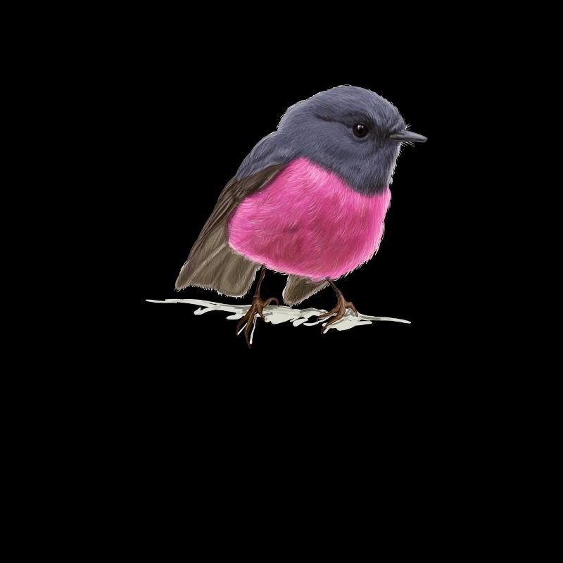 coole Vogel Pink Robin Geschenkidee
