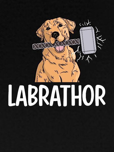 Labrathor Labrador Retriever Golden Retriever
