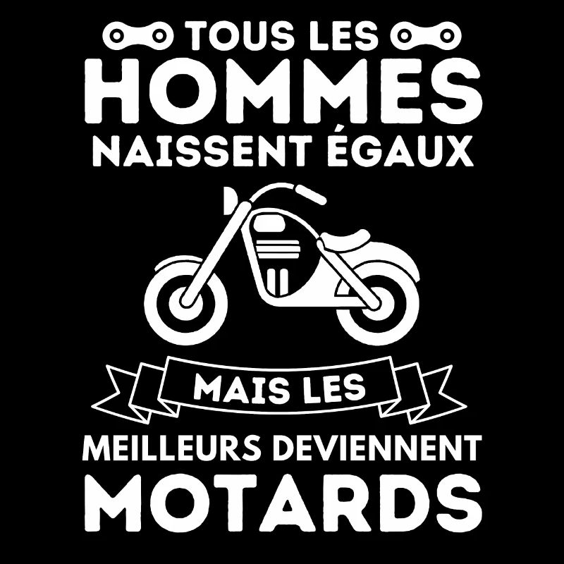 Motard humour cascadeur 2