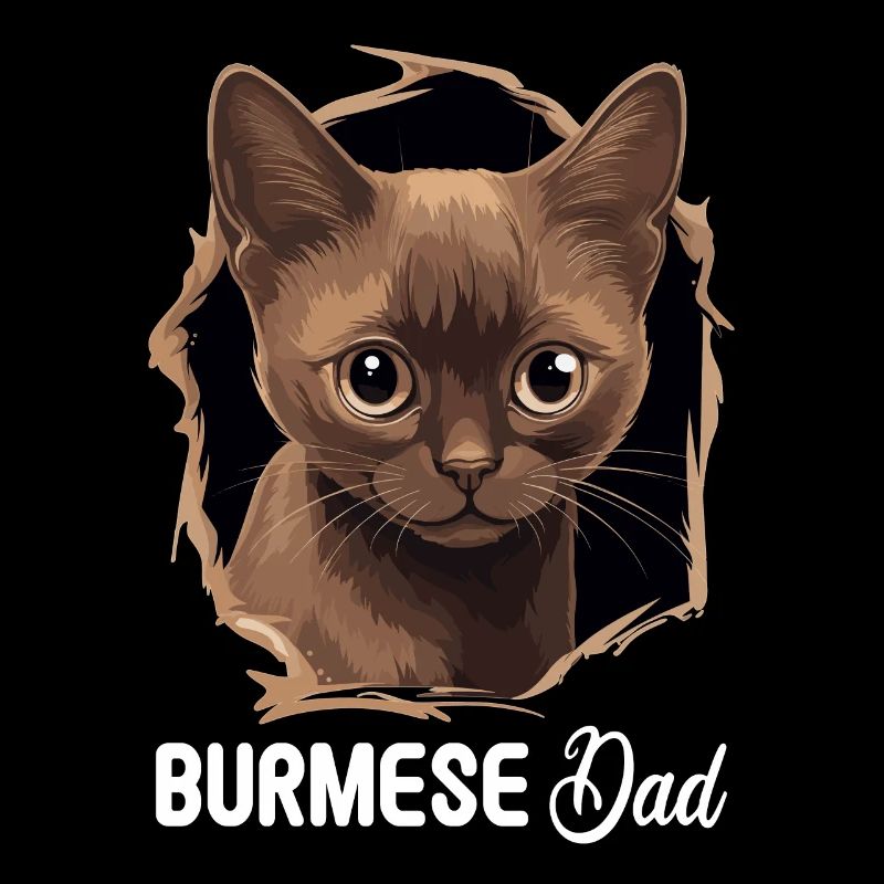 Chat birman Birmanie Katze