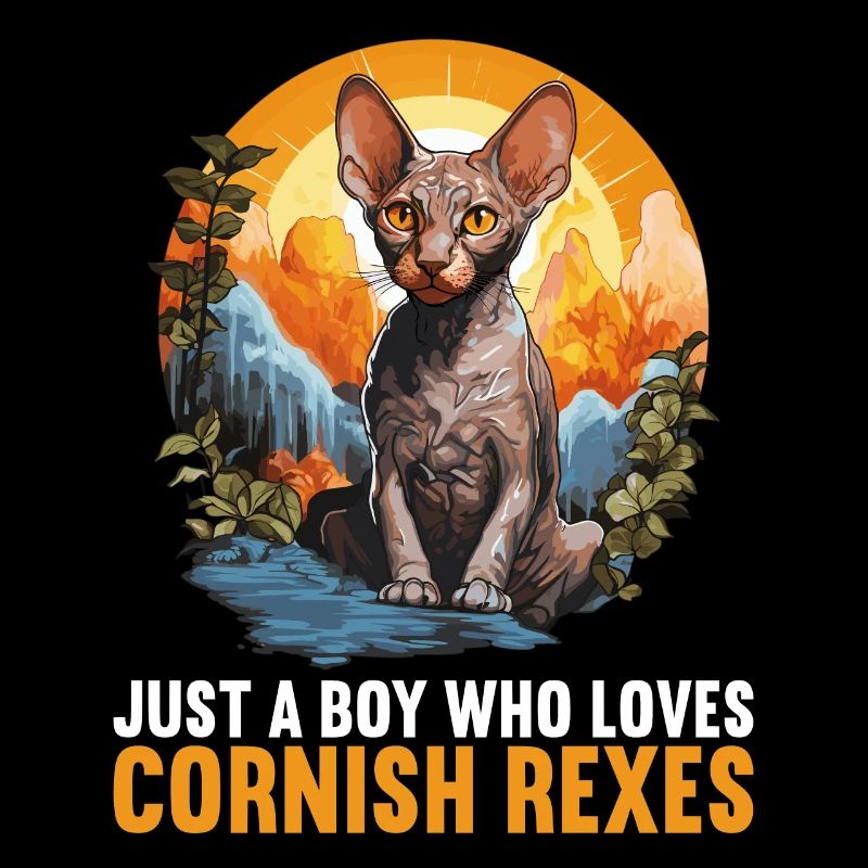 Cornish Rex Kätzchen Cornish Rex Katze