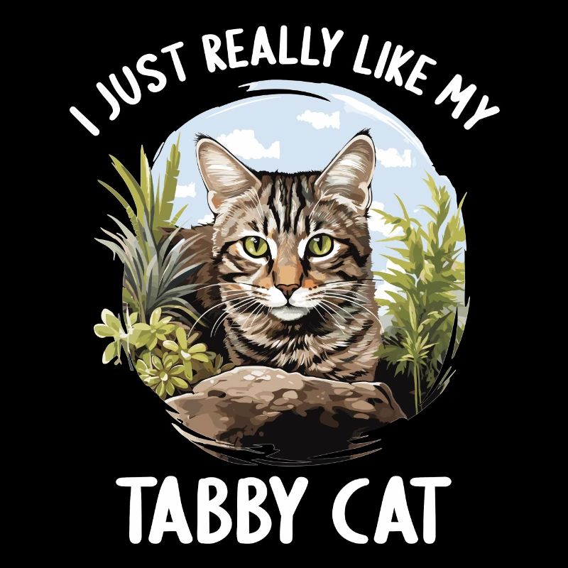 Tabby Kitten Tabby Cat