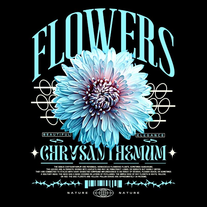 Chrysantheme Chrysanthemen
