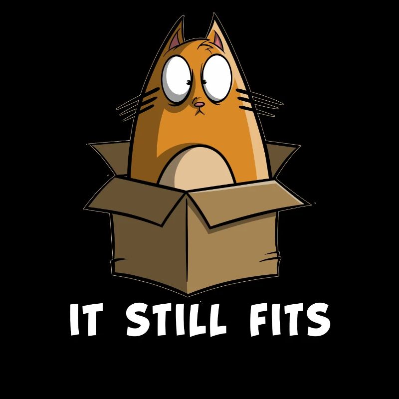 It still fits - Dicke Katze im karton