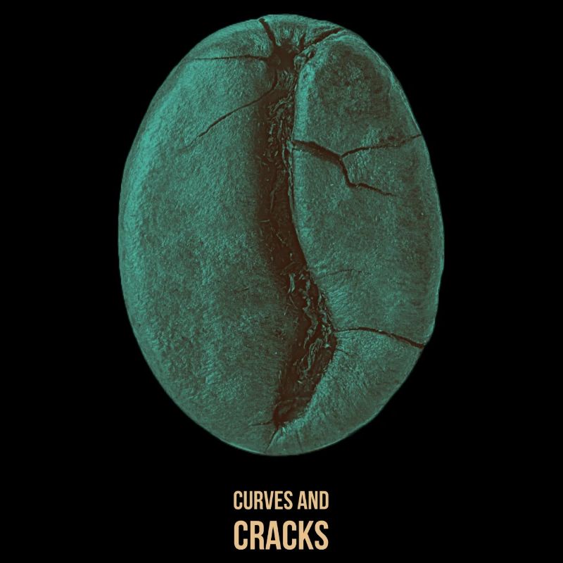 Curves & Cracks