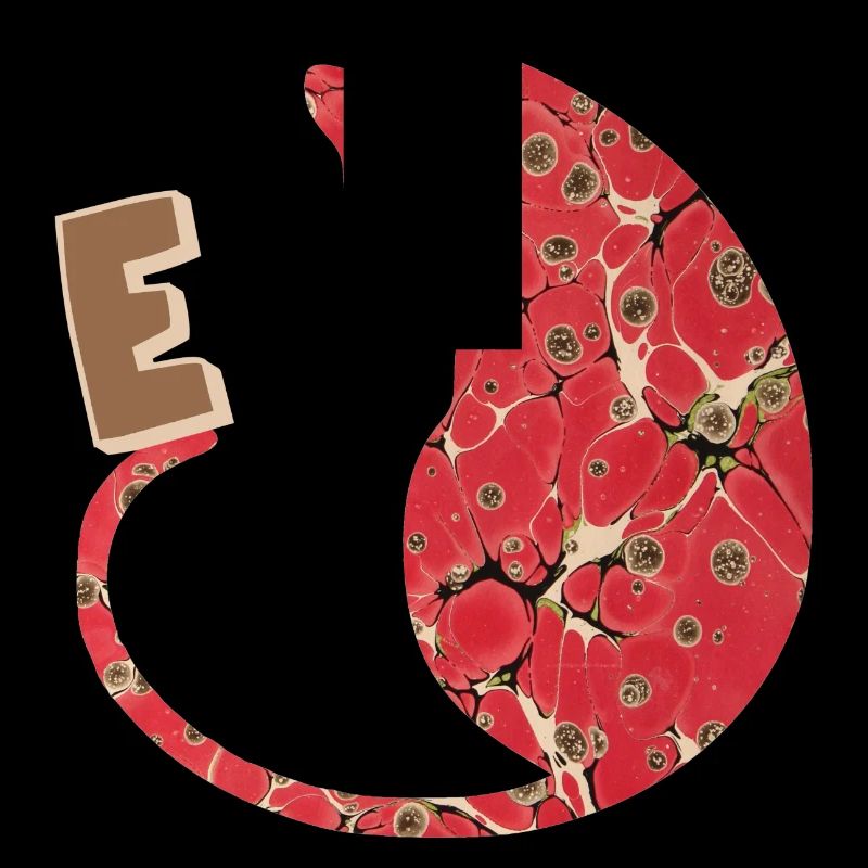 Lettre E avec Cat E 245