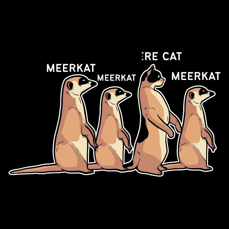 Erdmännchen