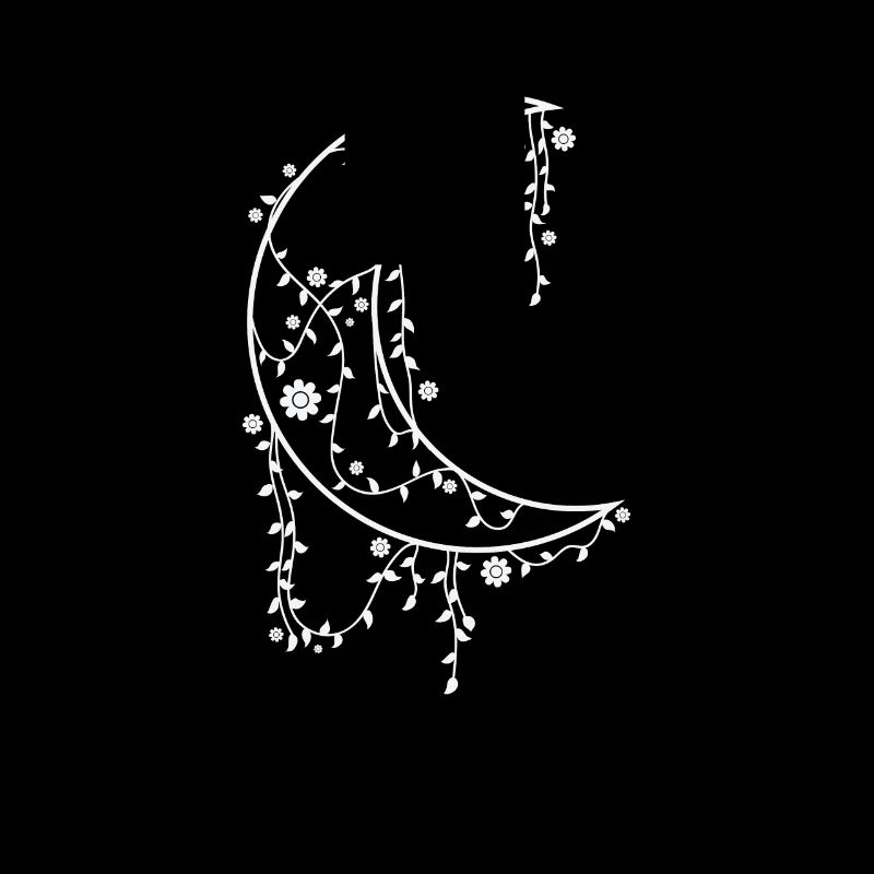 Decorated Moon Night Sky