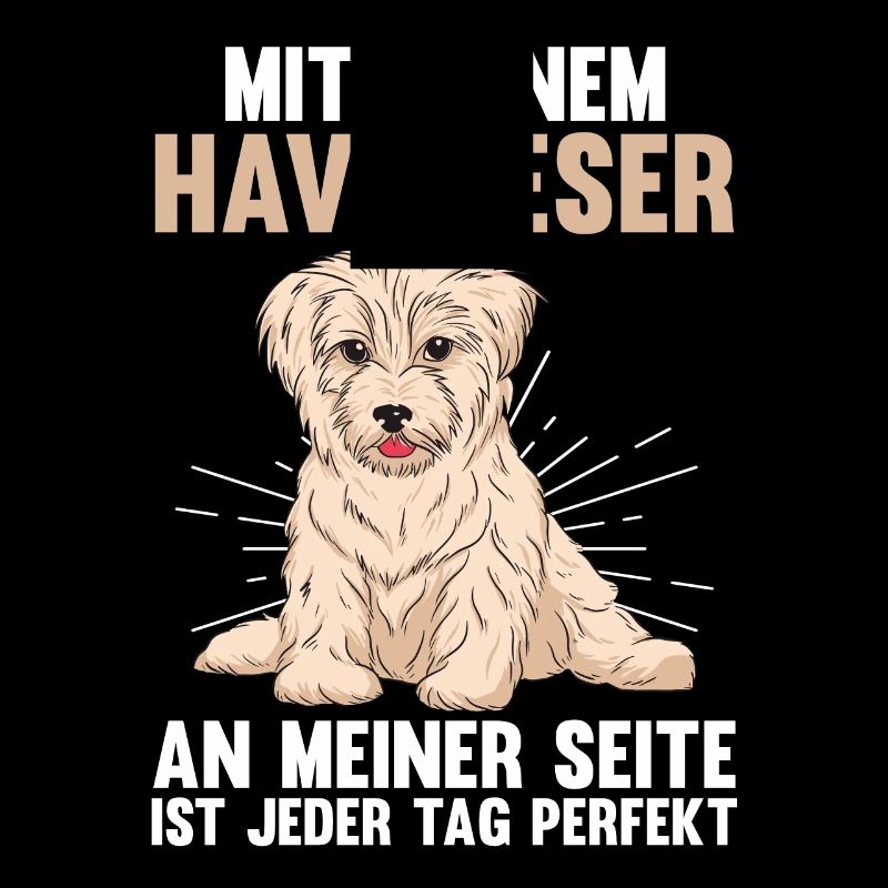 Hund Havaneser