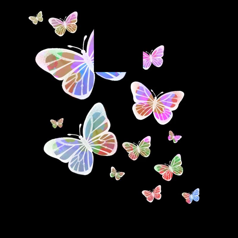 Schmetterling Schmetterling Tier bunt Farbe