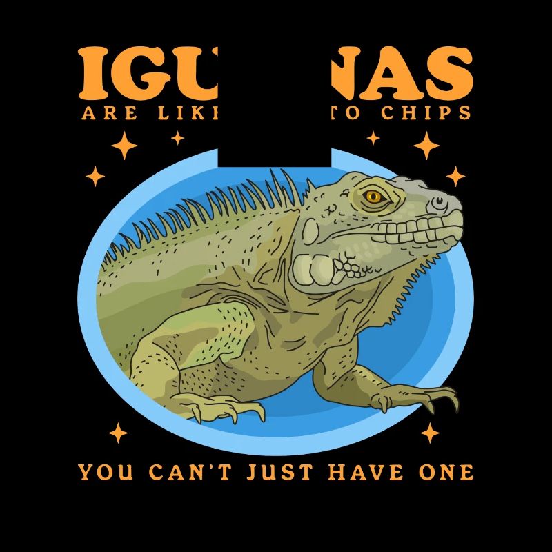 Leguan Reptilien Eidechse Leguane Geschenk