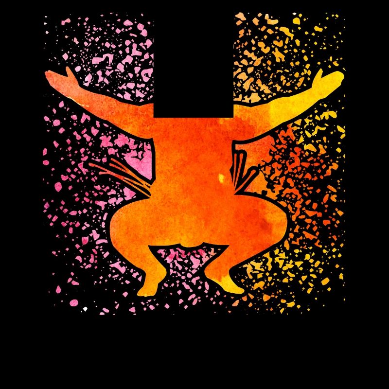 Sumo