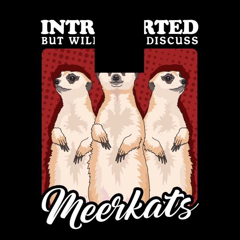 Erdmännchen lustige Erdmännchen
