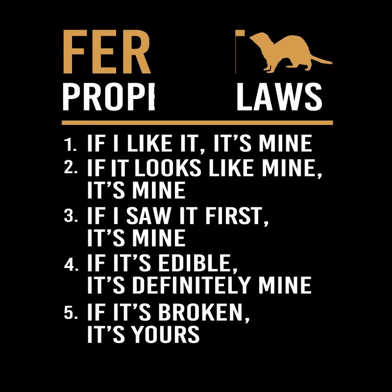 Furet