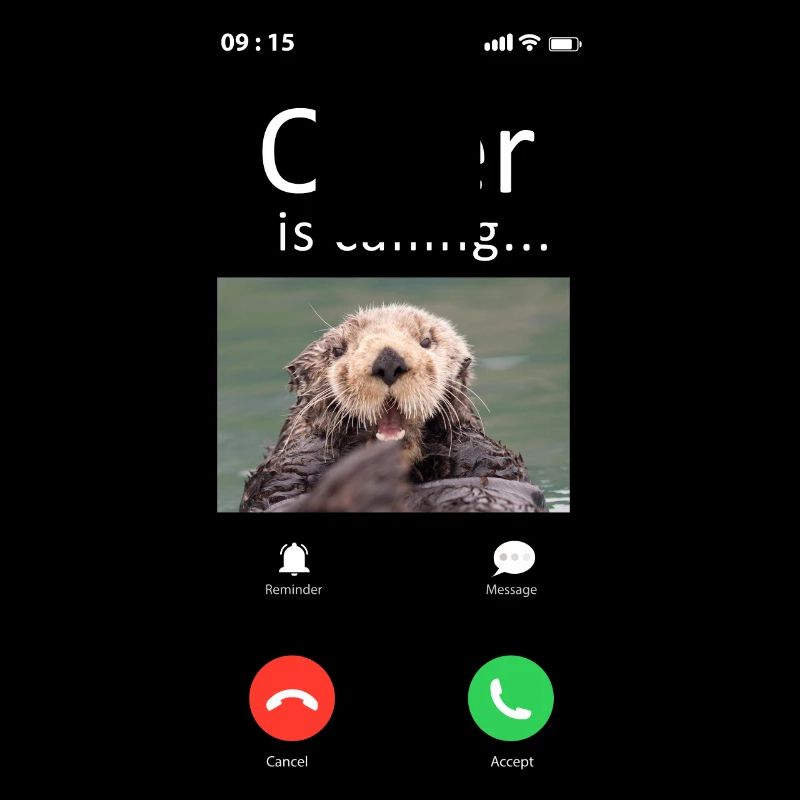Otter Phone Display Otter Is