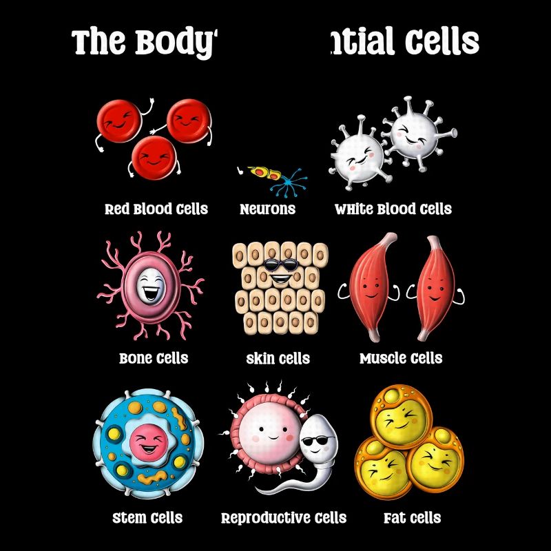 Biologie Cellules