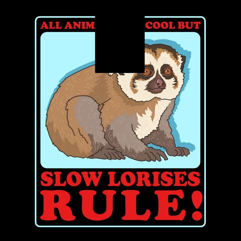 Cadeau Slow Lorises