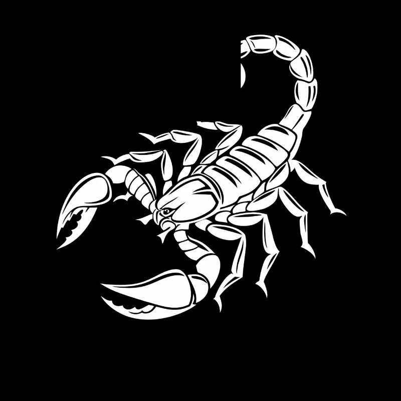 Scorpion - Poisonous Stinger - Species Conservation - Habitat