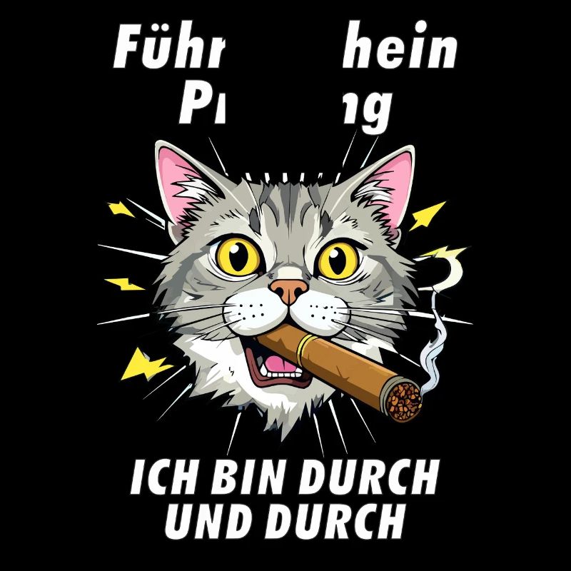 Examen du permis de conduire CAT Cigar