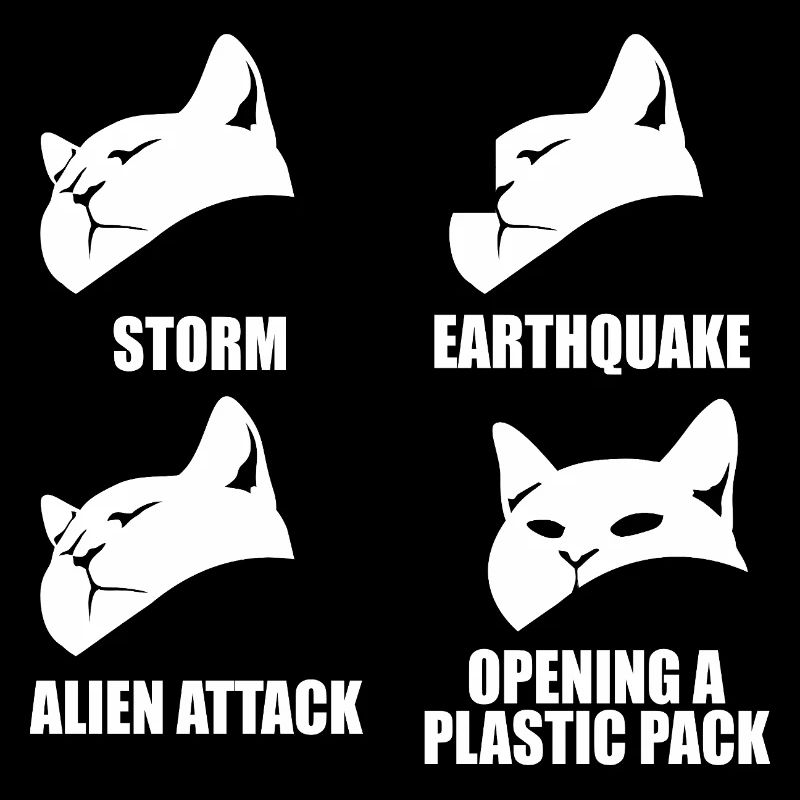 Cat - selective perception - saying