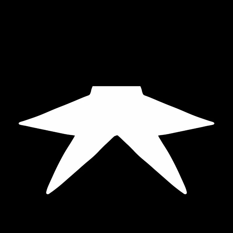 Shape star symbol