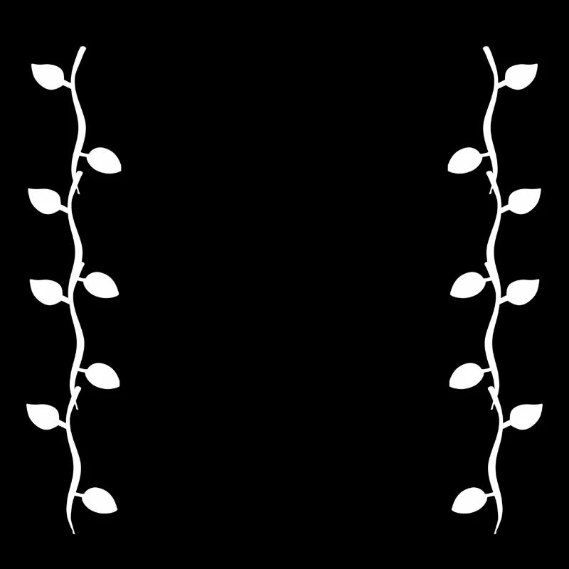 Feuilles Ligne Nature Feuille Branches Forme