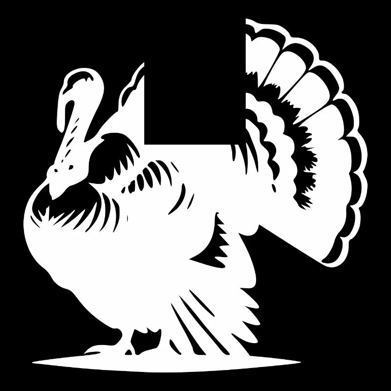 Funny poultry, turkey, huge plumage