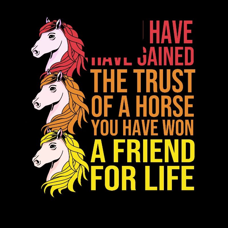 Springreiten Springpferd