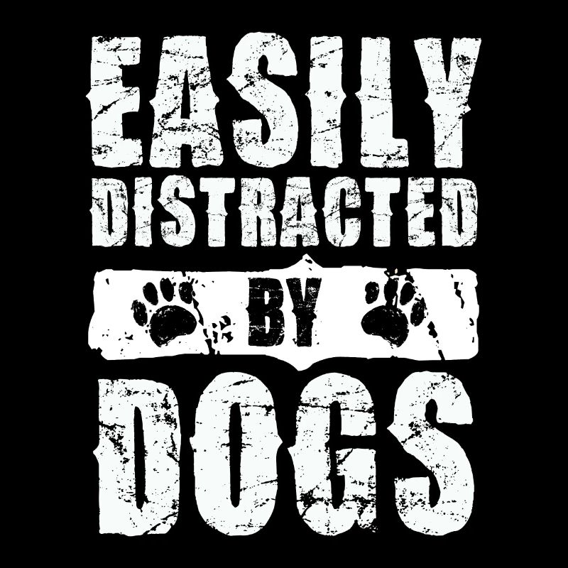 Easily distracted by dogs