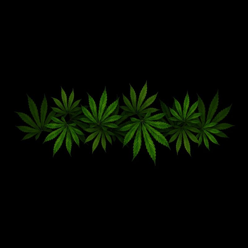 Cannabis rasta « couleur haute nature légale »