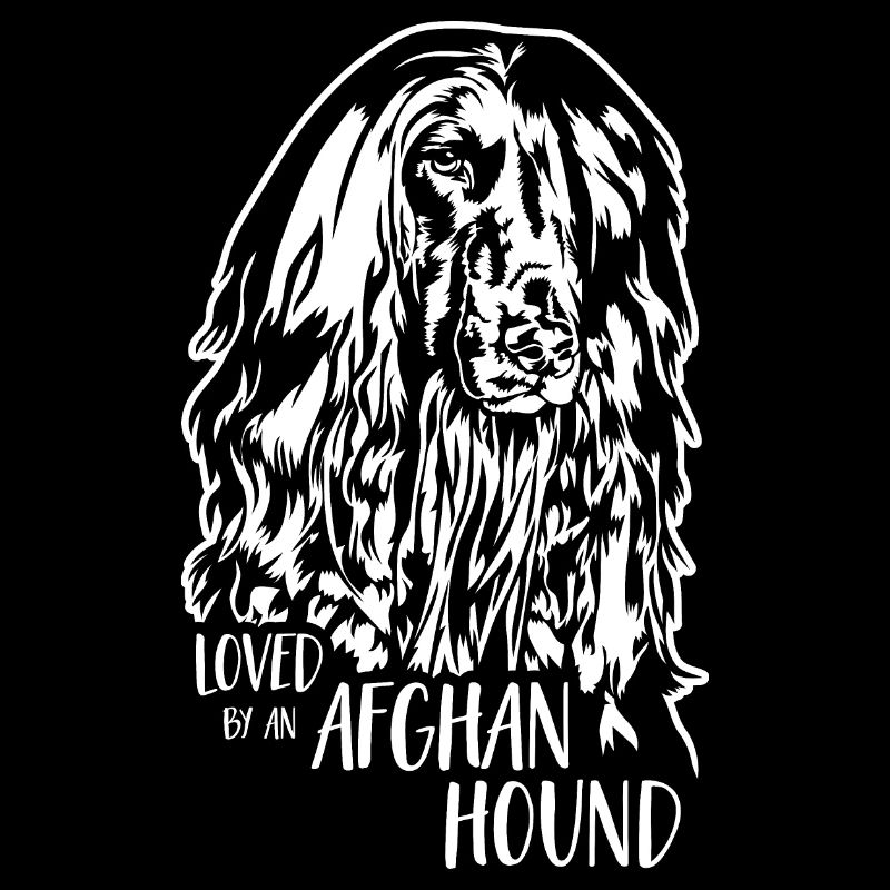 Afghane loved by an Afghan Hound Windhund Wilsigns