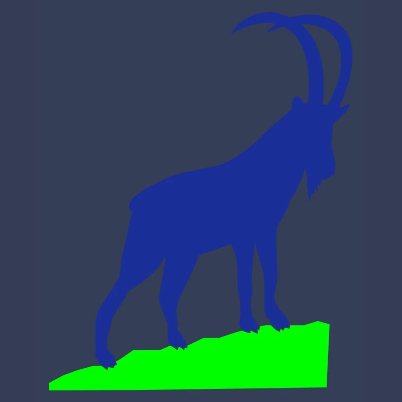 Capricorne