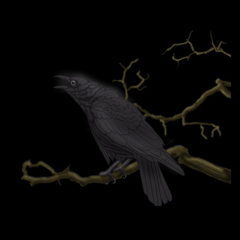 Corbeau noir
