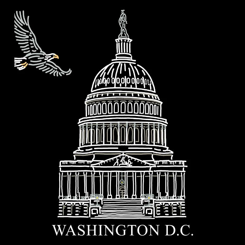 Washington D.C., Capitol Structure, Bald Eagle