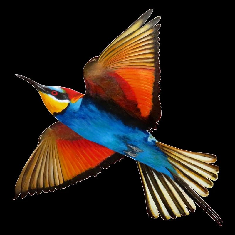 Guêpier Oiseau