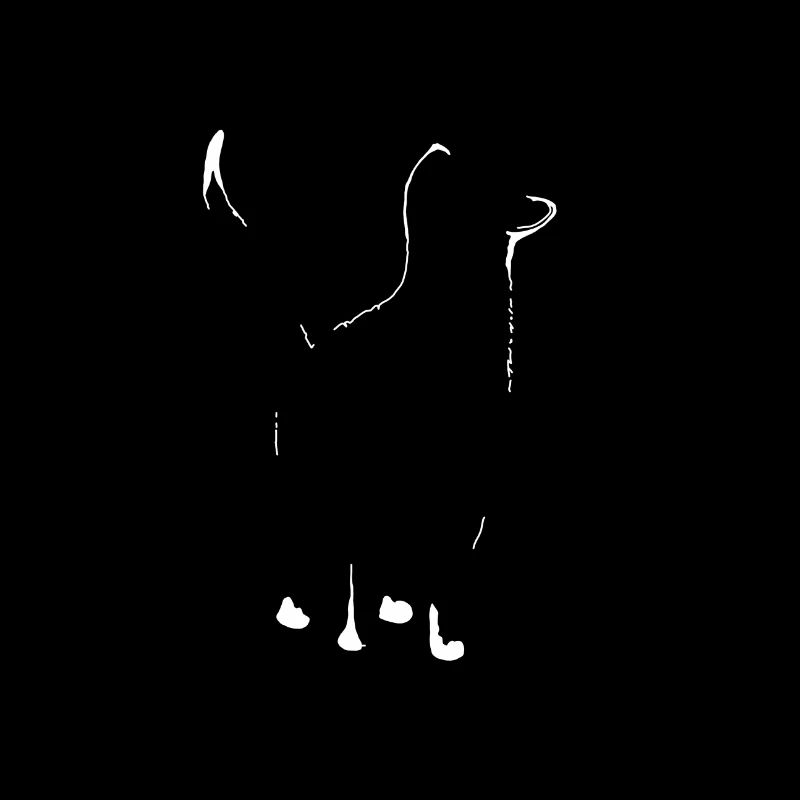 Silhouette de chats