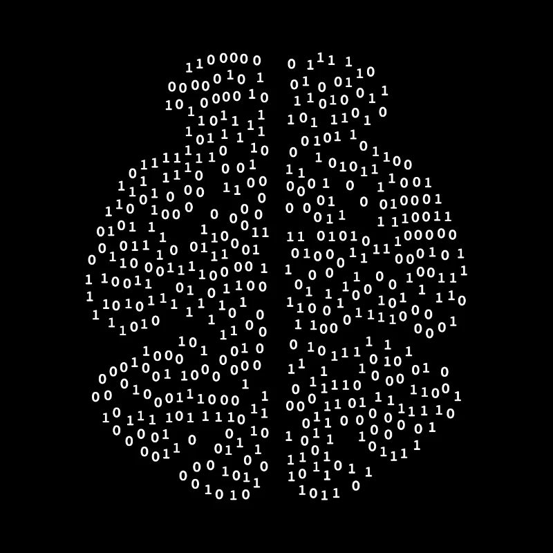 Binary Brain