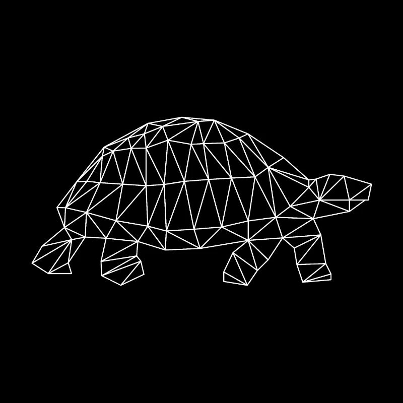 nerdy turtle geometric
