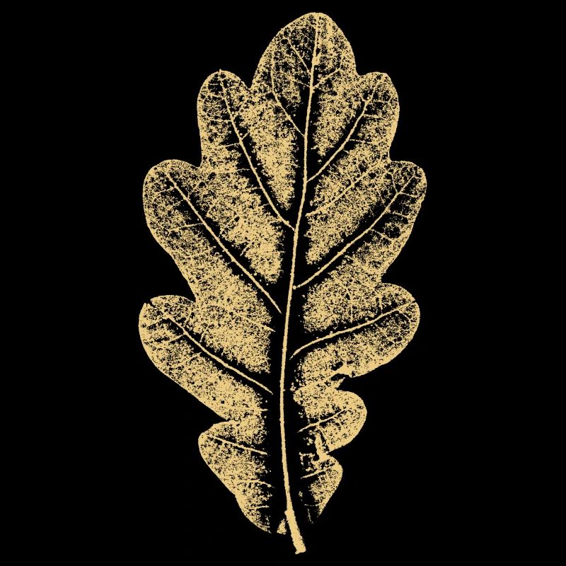 Eichenblatt - Khaki- Blatt/ Eiche/ Baum