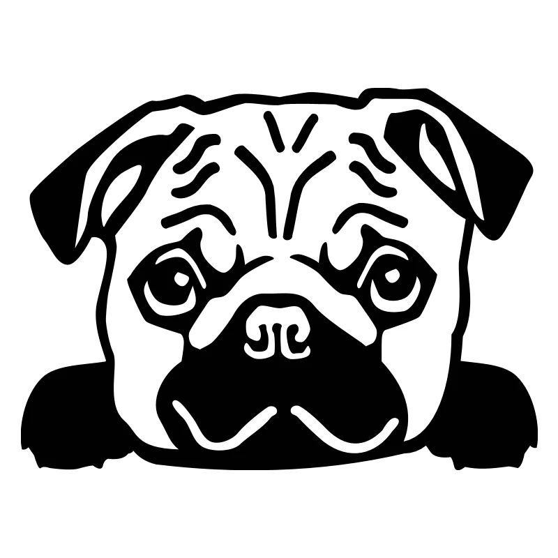 Pug