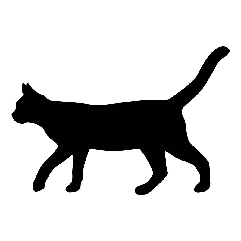 Walking Cat