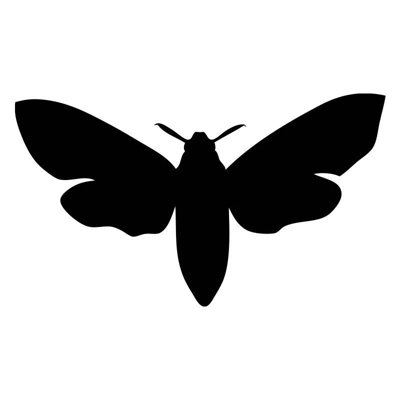 moth